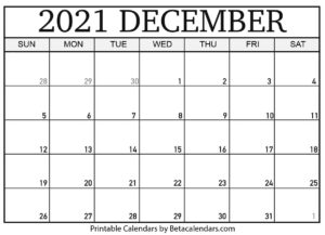 Blank December 2021 Calendar
