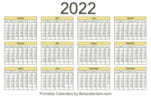 Printable 2022 Calendar